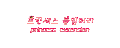 프린세스붙임머리