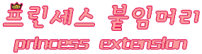프린세스붙임머리